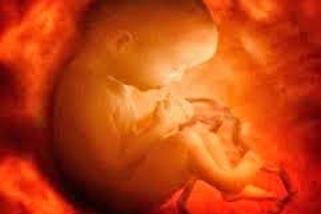 16 पौराणिक कथाएं पिता के वीर्य और माता के गर्भ के बिना जन्मे पौराणिक पात्रों की