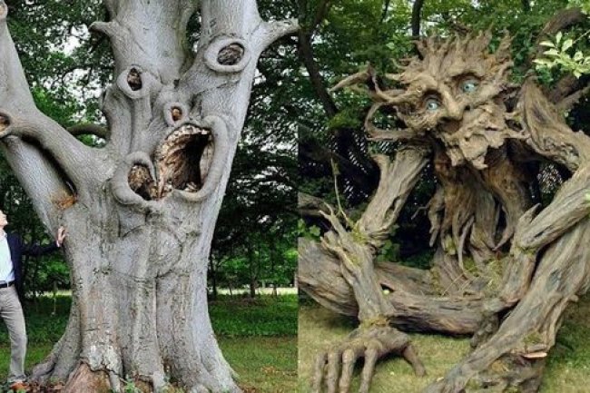 किन पेड़ों की लकड़ी से नहीं बनानी चाहिए भगवान की मूर्ति