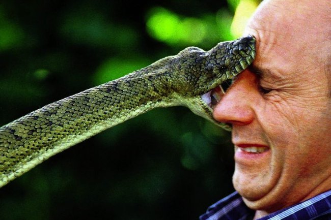 शास्त्रों में बताए गए कुछ पापों को करने से बचना चाहिए,