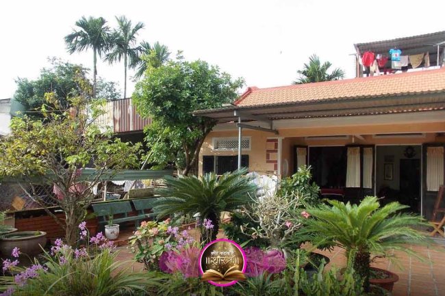 घर या मकान के आसपास पेड़ पौधों का स्थान