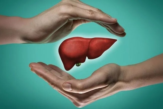 इन उपायों को अपनाने से आप भी लीवर की बीमारियों से निजात पा सकते हैं