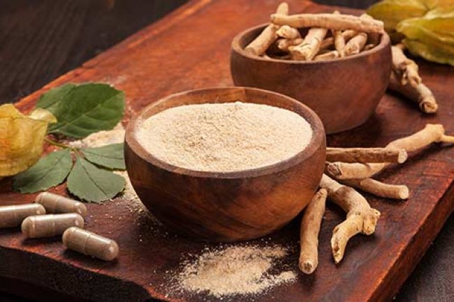 गुणों से भरपूर है वेत्र (बेंत)