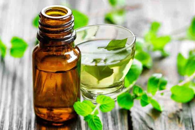 नागदौना के तेल के फायदे