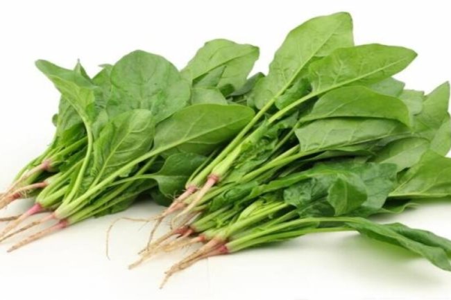 पालक के 13 अद्भुत स्वास्थ्य लाभ