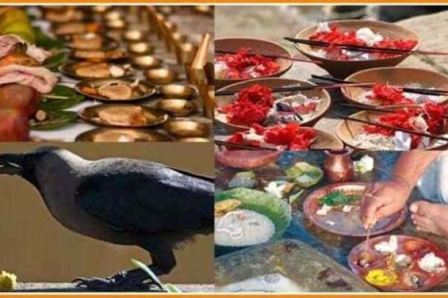 कौए हैं देवपुत्र श्राद्ध का भोजन उन्हें करें अर्पित