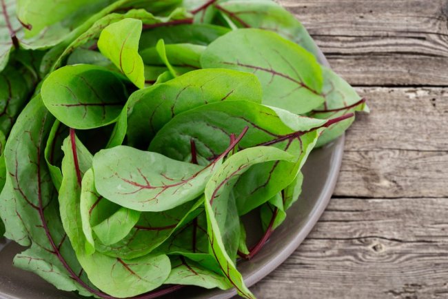 चुक्रिका दूर करे कई बीमारियां