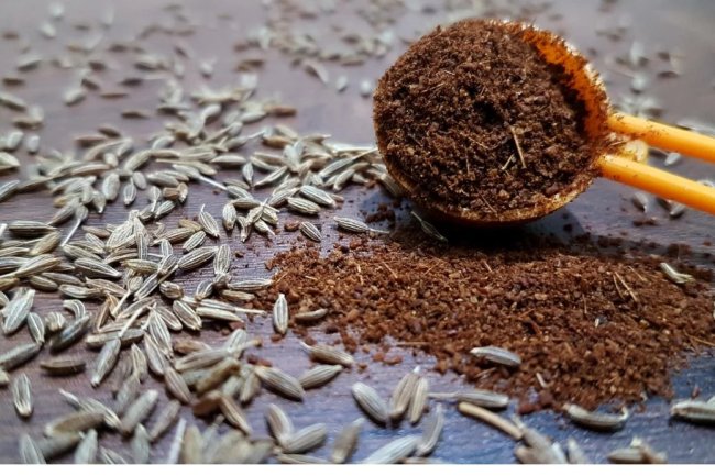 जीरा खाने के फायदे : ये 11 फायदे जानकर हैरान रह जाएंगे