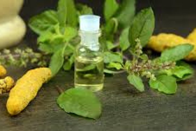 त्वचा के लिए तुलसी के फायदे