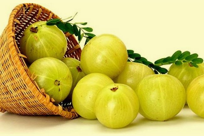 त्वचा और बालों के अलावा स्वास्थ्य के लिए भी फायदेमंद है आंवला