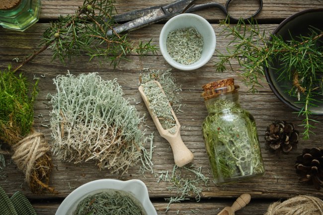 खाने की भूख-प्यास को करें खत्म, जानिए इस जड़ी-बूटी के अद्भुत फायदे