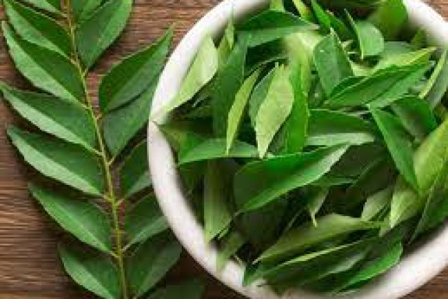 करी पत्ते के ये फायदे आप नहीं जानते होंगे 
